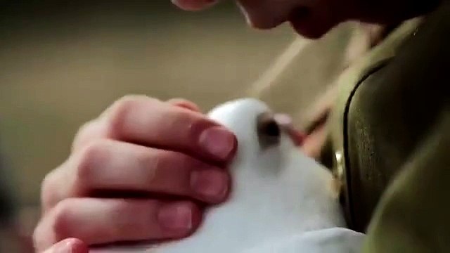 ХОТЯТ ЛИ РУССКИЕ ВОЙНЫ ?!.....