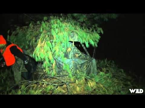 Mathews TV with Dave Watson - Solo Black Bear Hunt