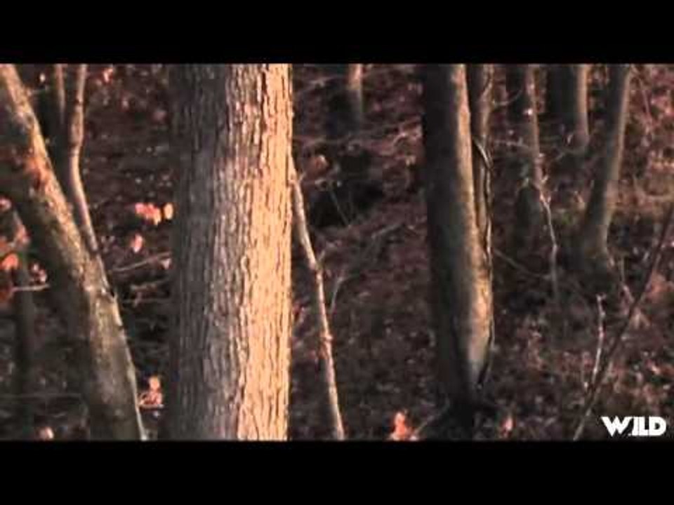 Ultimate Outdoors TV - The Rush