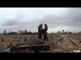 Team Fall Brawl TV - Tricks  Mixed Bags