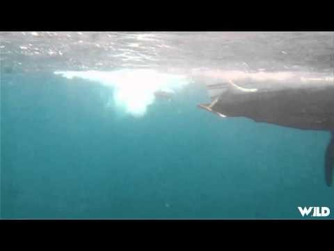 Adventures South of the Border - Adventures South of the Border