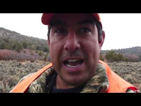 M2D Camos Livin the Dream - Colorado Buck