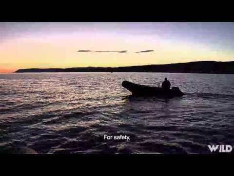 Qubec vol d oiseau - Sea Duck Hunt 1