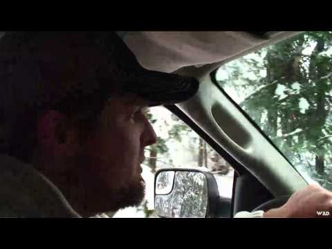 M2D Camos Livin the Dream - Bradens Cougar