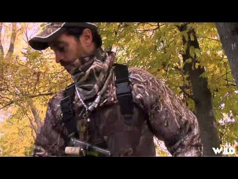 Qubec vol d oiseau - Mallard Duck Hunt