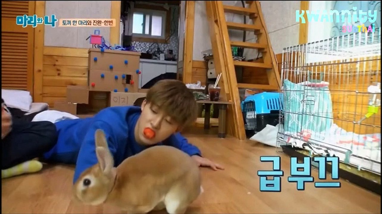 [ซับไทย] 160203 ฮันบินxจินฮวานเลี้ยงกระต่าย E.2 (2/2) by Kwannity