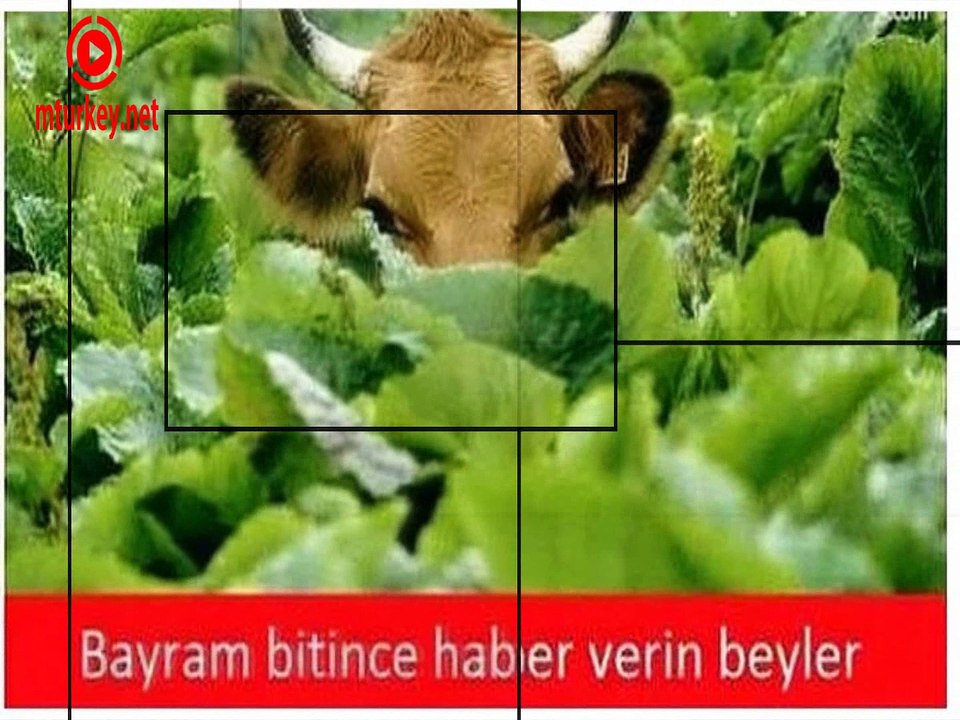 Kurban Bayramı
