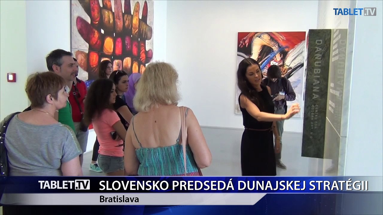 V hlavnom meste zasadal Výkonný výbor Rady podunajských miest a regiónov