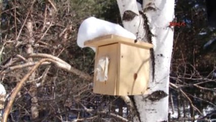 Erzurum Küçük Hatice'den Büyük Ders