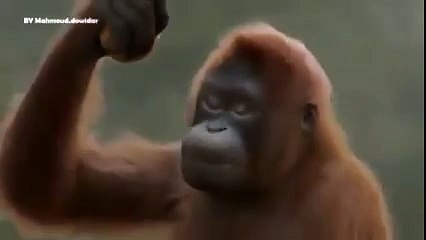 Когда плохое настроение делай так)