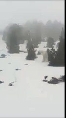 Buzz : Le Yéti aperçu dans les Pyrénées !