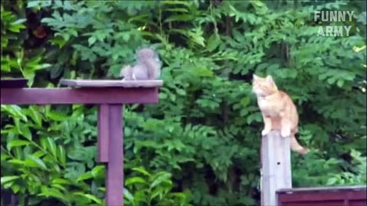Funny videos 2015 Try not to laugh or Grin (Challenge Impossible) - Funny Pranks - FUNNY ARMY