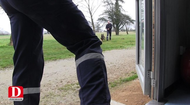 Les équipes cynophiles de plus en plus sollicitées