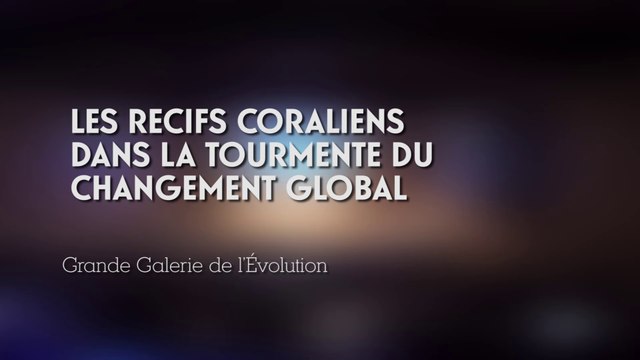 Les récifs coralliens dans la tourmente du changement global (cycle Changements climatiques et biodiversité 4/5)