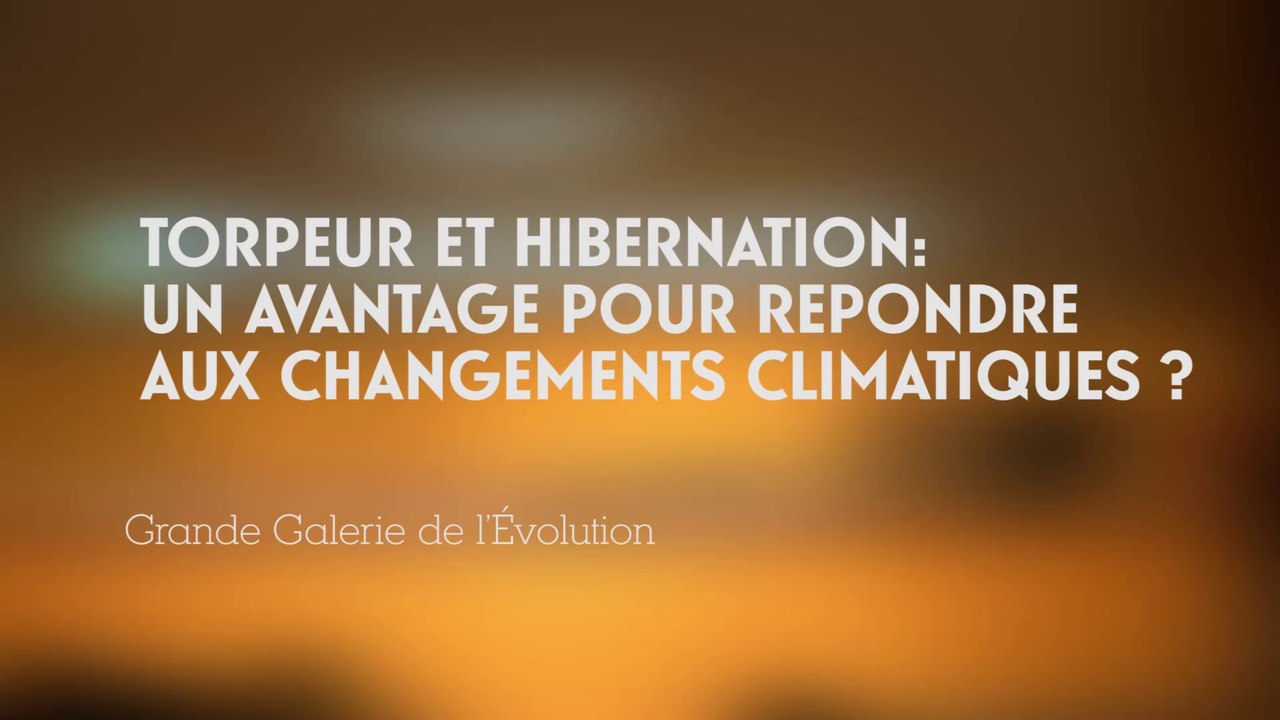 Torpeur et hibernation : un avantage pour répondre aux changements climatiques ? (Changements climatiques et biodiversité 3/5)