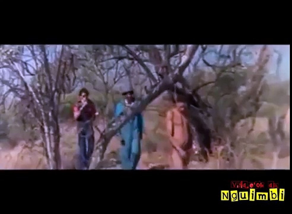 Haho ho ho  so very funny videos LOL | Funny Or Die | Funny Videos, Funny Video Clips, Funny Pics