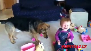 Dog Making Babies Laugh Compilation