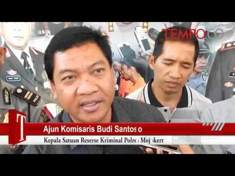 Digerebek Polisi-TNI, Puluhan Ton Pupuk Disita, Ini Alasannya