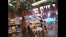 Amsterdam Holland Flower Market Walking Around