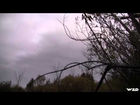 Team Fall Brawl TV - Mallard Madness