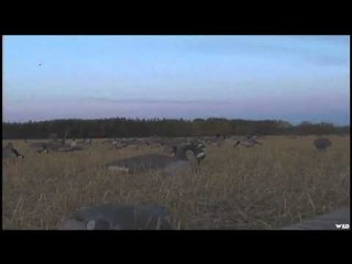 Adventures North - Manitoba Wildlife  Hunting