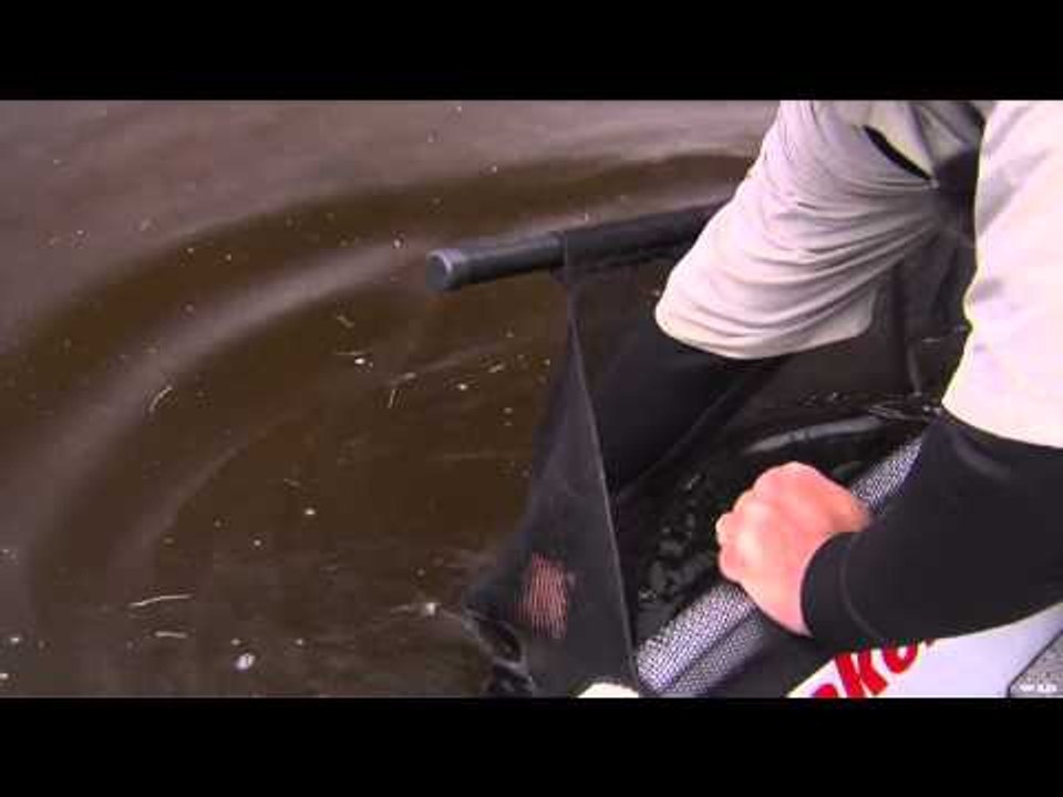 Fishful Thinking - Milton Lake Pike