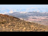 Dead Dog Walkin - Howl at The Rocky Mountain Moon