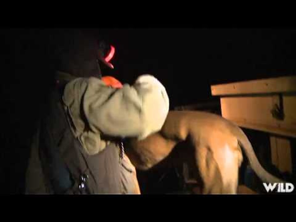 Relentless Pursuit  - Coon Eyes