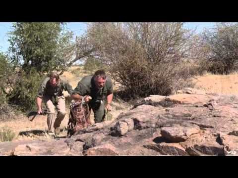 Safari Hunters Journal - Namibia Oryx