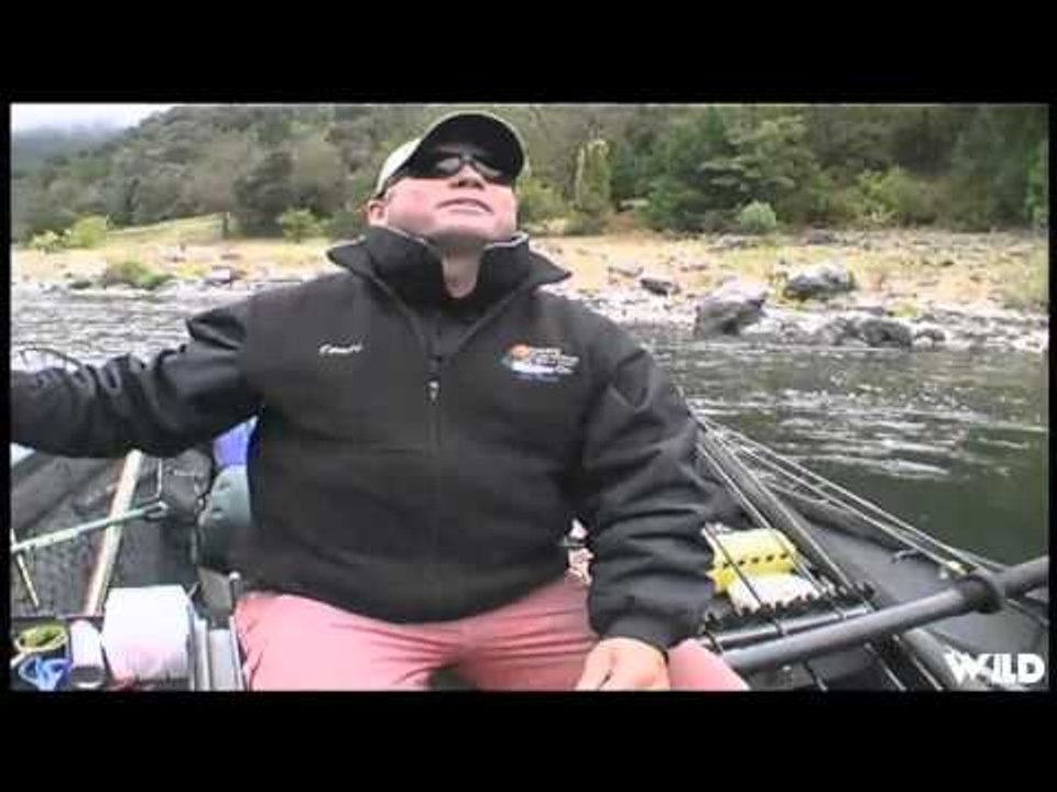 Hawg Quest - Wooldridge Return Part 1