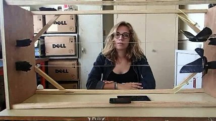 Présentation de la translation des oiseaux bioniques