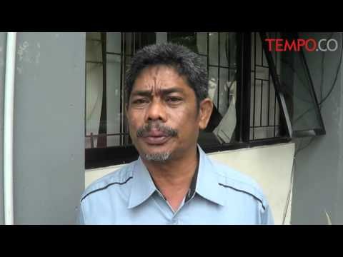 Pajak Pemotongan Sapi Dicabut, Pedagang Khawatir Harga Sapi Impor Dinaikkan