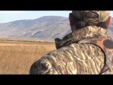 M2D Camos Livin the Dream - Idaho Smackdown