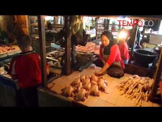 Pasca Mogok Berjualan, Harga Daging Ayam Masih Tinggi