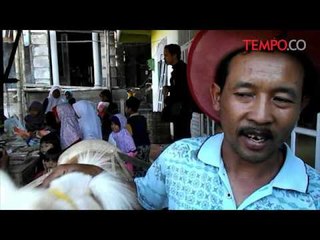 Kuda-Pustaka-dari-Lereng-Gunung-Slamet.flv
