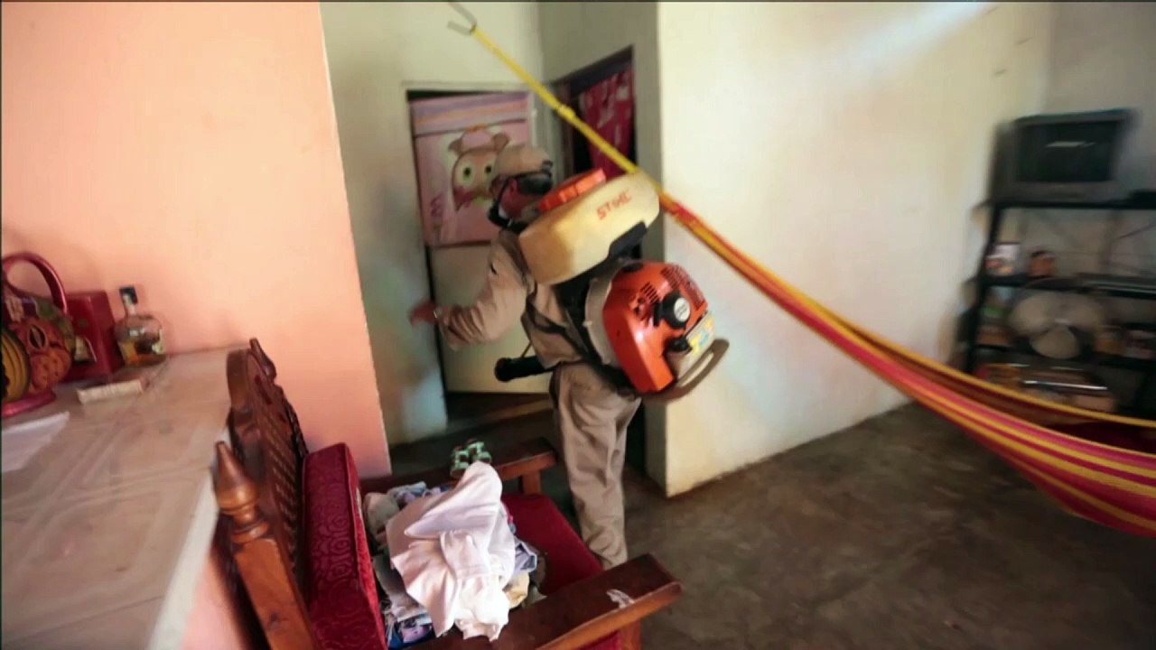 المكسيك تتخذ اجراءات وقائية للحد من فيروس زيكا