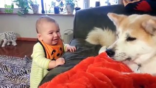 Funny Babies Talking to Dogs Compilation 2016