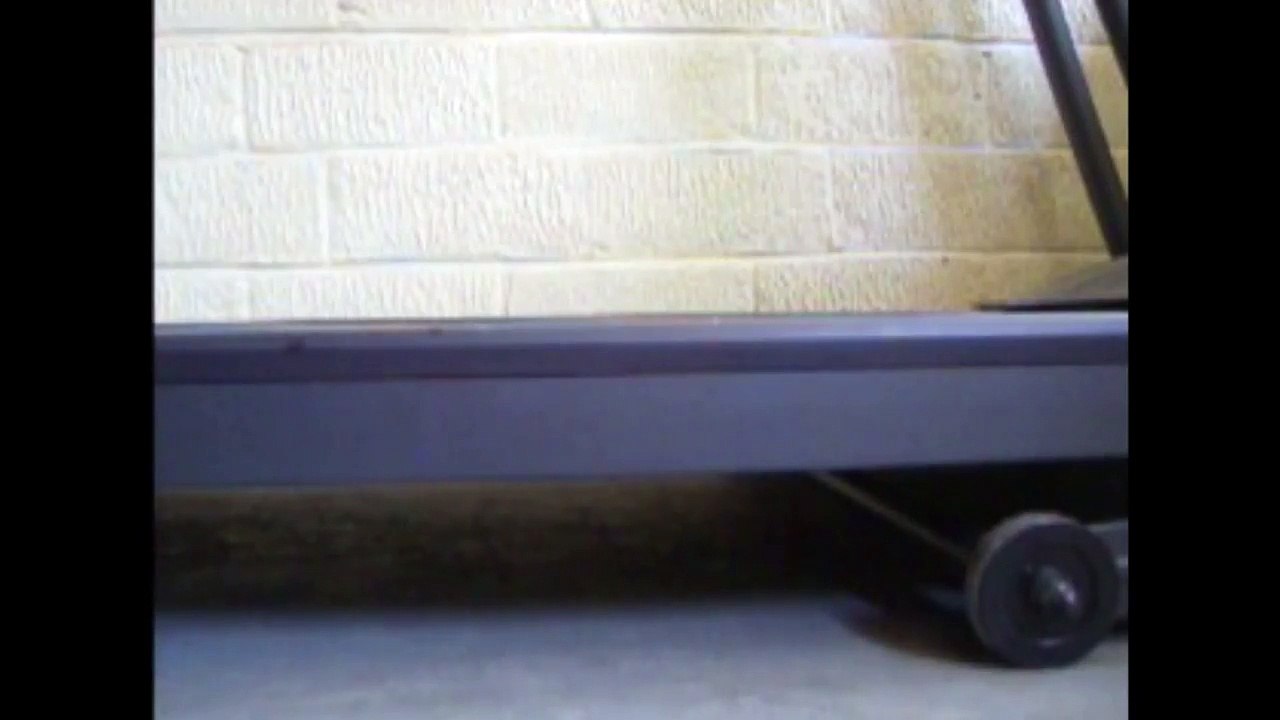 Baby Racoon Runs On A Treadmill
