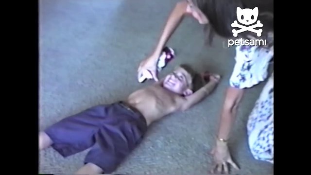 Boy laughs hysterically while dog eats whipped cream off his nose