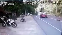 A falling tree almost hits a Van