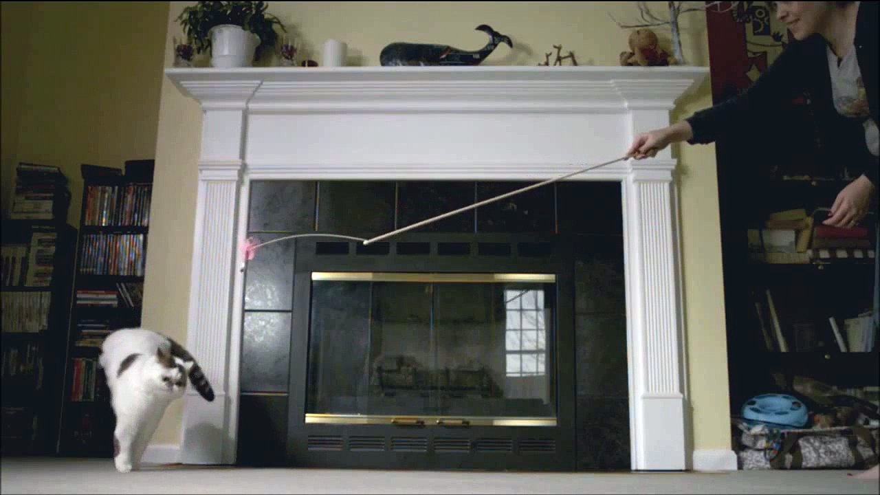 Flaying Cat - Cats in slowmotion