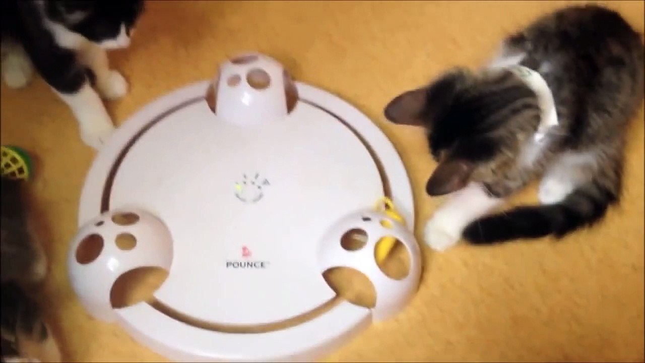 Fun for cats Frolicat Pounce Interactive Toy