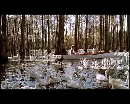 El diario de Noa - Trailer