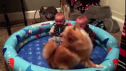 Aceste imagini îți vor schimba ziua! Ce poate fi mai drăguț de atât_