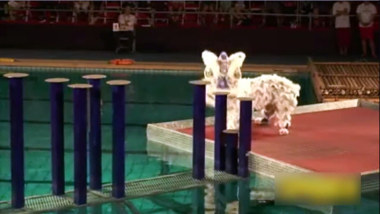 The Lion Dance !!!
