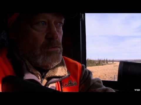 Cabelas Ultimate Adventures - Osceola Gobblers