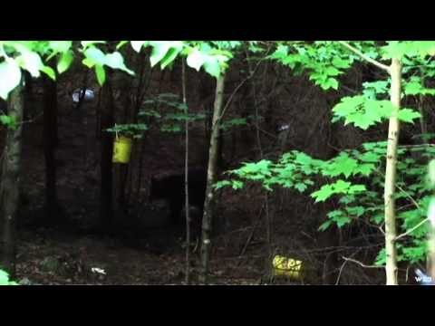 North American Safari - Own The Zone Invitation