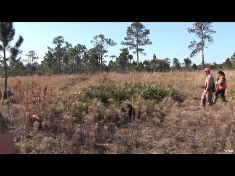 M2D Camos Livin the Dream - Quail Creek Plantation