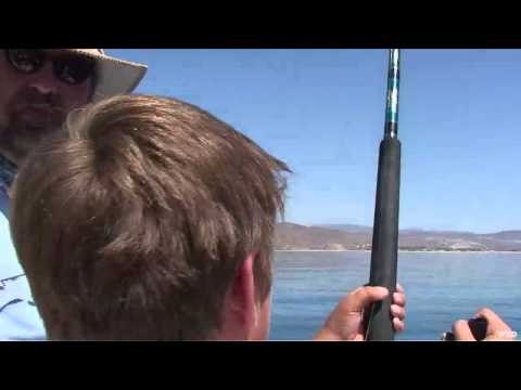 Adventures South of the Border - The Best of Fish