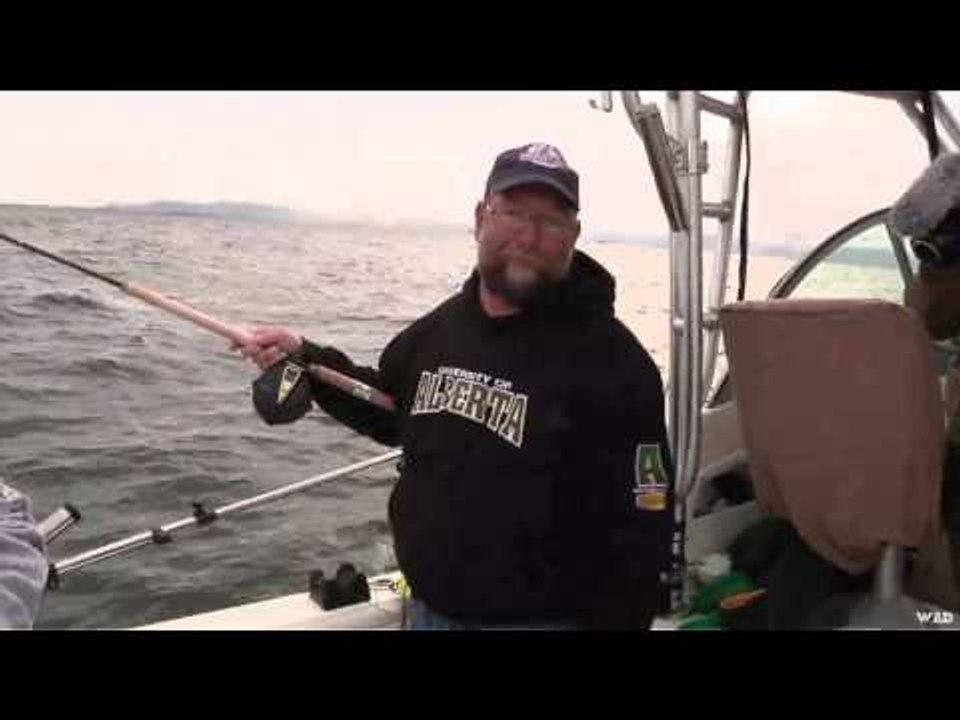 The Real Canadian Joes - Harrison Cove Adventure